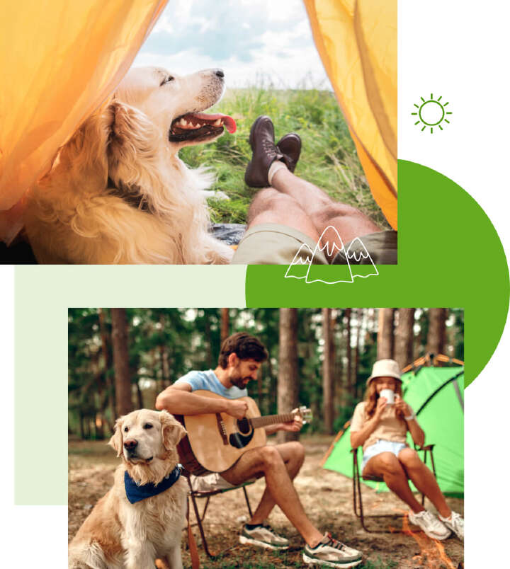 camping mit hund ausruestung kaufen